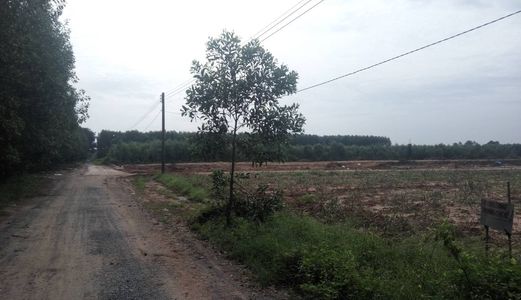 Bán Lô Đất Thổ Cư 3 Hecta Gần Sân Bay Long Thành Đồng Nai