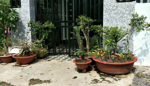 Bán Gấp Nhà Chợ Gò Đen 420 Triệu 1 Trệt 1 Lầu Sổ Hồng Riêng