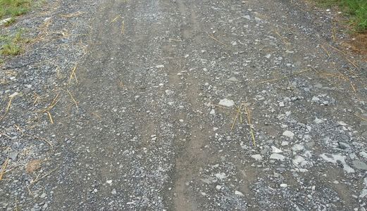 Bán Đất Nông Nghiệp Hóc Môn Cách Quốc Lộ 22 200m Giá Chỉ 450K/m2