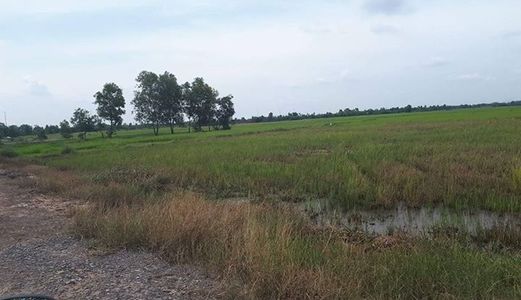 Bán Đất Nông Nghiệp Hóc Môn Cách Quốc Lộ 22 200m Giá Chỉ 450K/m2