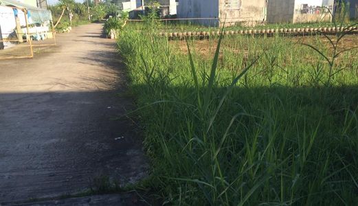 Bán Nền Thổ Cư Kdc Đoàn Kết, P.Long Tuyền, Q.Ninh Kiều, Tpct