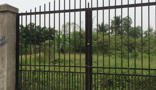 Đất Đa Phước 1200m2, Giá 2,4 Tỷ. Bình Chánh 