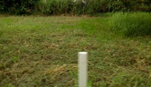 Chính Chủ Cần Bán 1200m2 Có 150m Thổ Cư , Bình Chánh Giá Rẻ