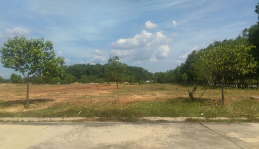 Chính Chủ Cần Bán Gấp 600M2 Đất Tại Tp Mới Bình Dương Giá 260 Triệu