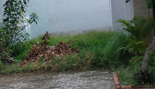 Cần Bán Gấp Lô Đất Xã Tân An Hội, Củ Chi, Dt 95M2, Giá 345Tr, Shr.