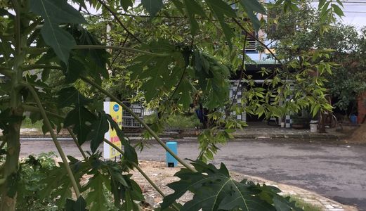 Bán Đất Huỳnh Xuân Nhị, Lô Góc,tây Nam, Hòa Xuân, Cẩm Lệ, Đà Nẵng