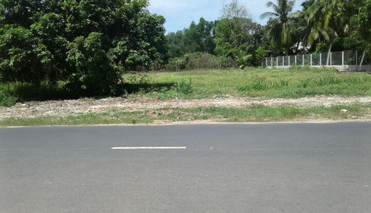 Nhượng Gấp 800M2 Đất Bình Chánh Mặt Tiền Trịnh Quang Nghị, Ngang 30M