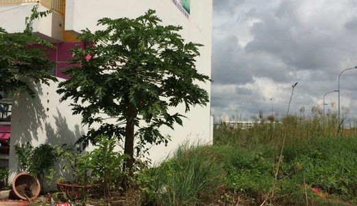 Cần Bán 105M2, 5X21, Thổ Cư, Mặt Tiền 8M, Nguyễn Văn Tạo