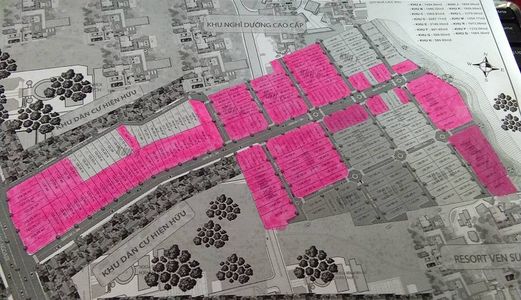 Bán Đất Đường Cây Thông Ngoài Với Giá 403 Tr/ Nền Nhanh Tay Để Sở Hữu