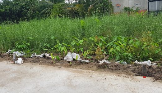 Bán Đất Chính Chủ!! Bán 2 Nền Diện Tích Lớn Thích Hợp Xây Nhà Trọ Hoặc Biệt Thự Sân Vườn Giá Rẻ Nhấ