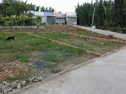 Vỡ Nợ Nên Bán Lại 2081M2 Đất Vườn Tại Đường Qui Đức, Bình Chánh, Giá Bèo.