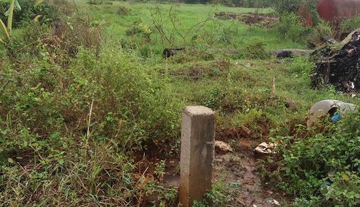 Bán Đất Nông Nghiệp Đường Đặng Công Bỉnh Giá 450.000/m2