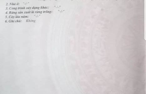 Bán Đất Đẹp Ngay Trường Đại Học Thái Bình Dương - Vĩnh Ngọc - Nha Trang 0971 033 357 