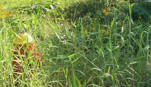 Mở Bán Dự Án Đất Nền Ven Sông Hóc Môn, Sinh Lời Cao