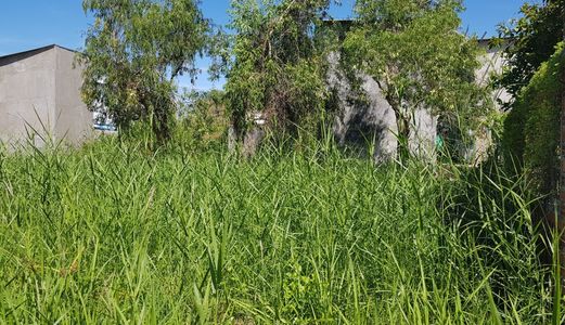 Bán Đất Chính Chủ 180m2 Chỉ 11 Tr/m2 Lê Văn Lương, Nhà Bè