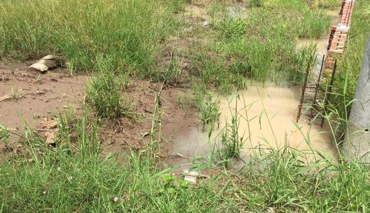 Cần Tiền Sang Lại 200 M2 Mặt Tiền Đường Ô Tô Xã Tân Quý Tây, Bình Chánh.