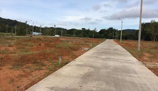 Bán Đất Phú Quốc, Đường Cây Thông Ngoài Chiết Khấu 16% Đến Cuối Tháng