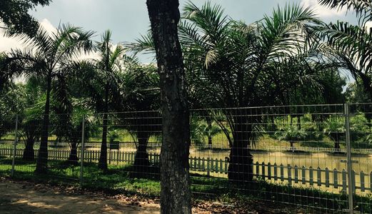 Mua Bán Nhà Đất Phườngtân Bình, Thị Xã Dĩ An, Bất Động Sản Bán