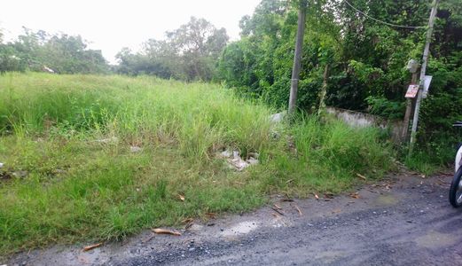 Chính Chủ Cần Bán Xưởng 2000M2, Xưởng Đang Hoạt Động, Giá 5 Tỷ, Quy Đức, Bình Chánh.