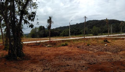 Siêu Dự Án Đất Phú Quốc, Đường Cây Thông Ngoài, Cửa Dương. Giá Rẻ Chiết Khấu 16%.