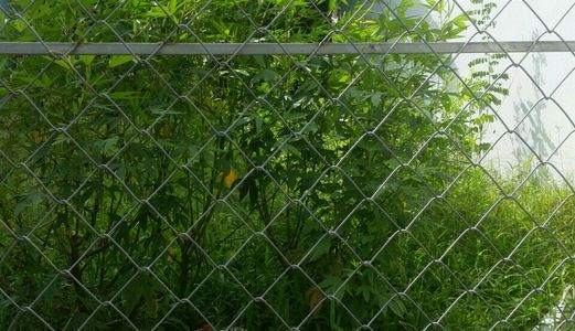 Bán Gấp Lô Đất Thổ Cư 83M2, Hẻm Xe Hơi, Nhơn Đức-Nhà Bè, 83M2, Shr, 1.4 Tỷ