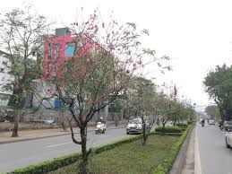 Bán Nhà Mặt Phố Lạc Long Quân 66m2, 6 Tầng, Mt 6,5m Vỉa Hè Khủng, Phố Wall Giữa Lòng Thủ Đô 16 Tỷ