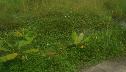 111M2 Đất Thổ Cư Nhánh Đoàn Nguyễn Tuân Xã Tân Quý Tây Huyện Bình Chánh