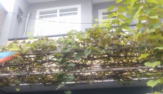 Nhà Hxh 5M - Lê Quang Định, Bình Thạnh, 3 Lầu, Rẻ Bèo 2.2 Tỷ