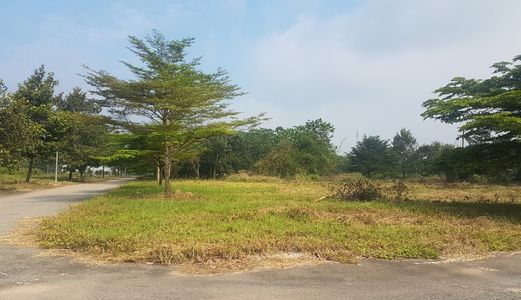 Bán Lô Đất Ngay Trường Sĩ Quan Lục Quân 2. Tam Phước Biên Hòa, Lh: 01212683333