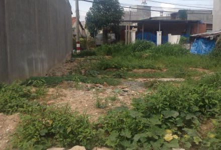 Nhượng 200M2 Ở Kinh A - 1.1 Tỷ - Shr - Bình Chánh, Cách Tỉnh Lộ 10 Chỉ 100M