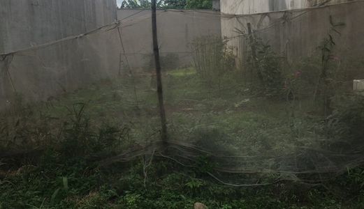 Đất Tân Hiệp, Hẻm Thông 6m, 6x20, Shr.