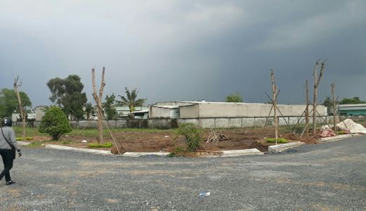 Đất Xây Trọ 8X17M Thổ Cư 100% Ngay Kcn Thuận Đạo - Bến Lức 700 Triệu/nền