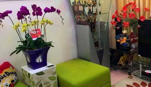 Bán Nhà Phố Bùi Xương Trạch, 36m2, 4 Tầng, 3.2 Tỷ Ô Tô Cách Nhà 15m