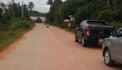 Đất Mặt Tiền Ấp Cây Thông Ngoài, Xã Cửa Dương, Phú Quốc, Sổ Hồng Riêng, Giá Chỉ Từ 4,5 Triệu/m2