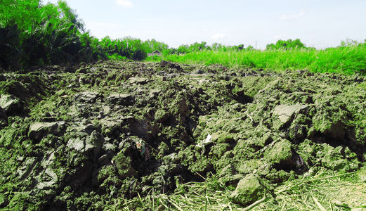 Cần Bán 840M2 Đất Gần Ngã Tư Nguyễn Văn Linh Quốc Lộ 50 Ráp Quận 8. 0903078370