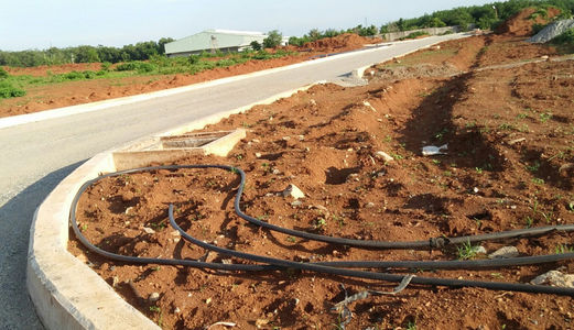 Cần Sang Gấp Lô Đất Mặt Tiền Đường Đinh Đức Thiện 