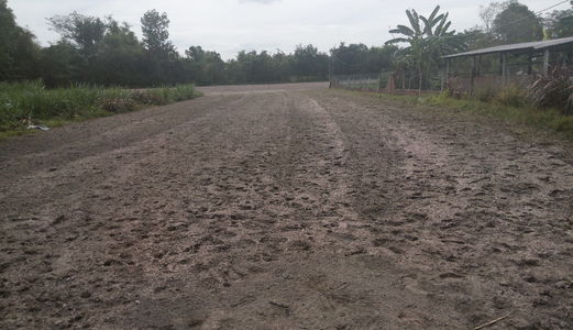 Đất Thổ Vườn 10300M Vuông