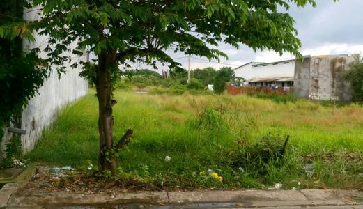 Đất Thổ Mặt Tiền Nhựa 4x20m. Đường Tl830- Đức Hoà.giá 380 Tr