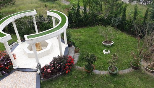 Cần Bán Quán Coffe Đẹp Kqh Phù Đổng Thiên Vương , P8, Tp Đà Lạt  778,5 M2 Giá 22  Tỷ