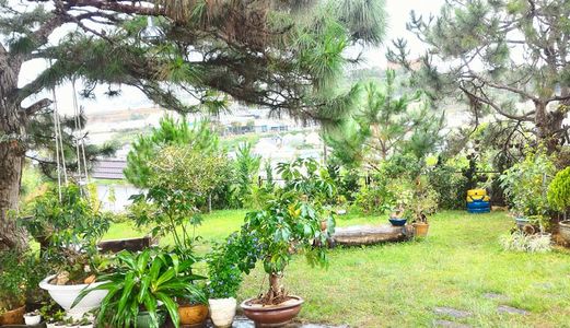 Bán Biệt Thự Cà Phê Sân Vườn Phù Đổng Thiên Vương, P.8, Đà Lạt Đ1522H