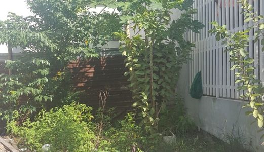 Bán Đất Thanh Hóa,đông Bắc,6Mx23M, Hòa Xuân, Cẩm Lệ, Đà Nẵng