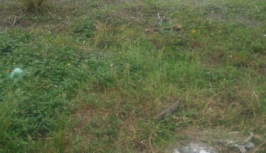 Tôi Chính Chủ Cần Bán Gấp Lô Đất Nằm Mặt Tiền Đường Quy Đức Xã Quy Đức Huyện Bình Chánh