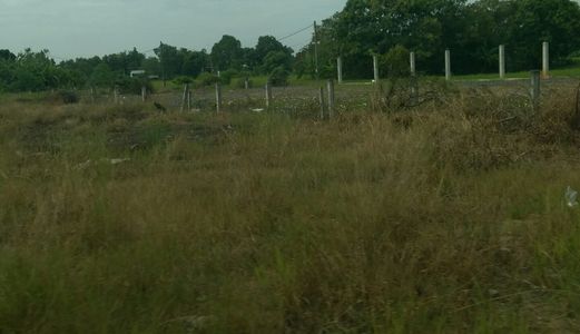 Kẹt Tiền Bán Gấp 1000M2 Đất Hương Lộ 11, Đường Xe Cong, Ngang Siêu Khủng.