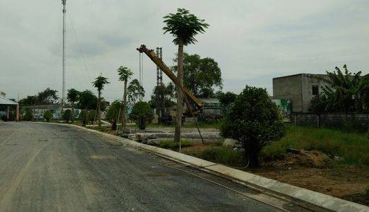 Đất Trung Tâm Thị Trấn Bến Lức, Gần Co.op Matk, Ngay Chợ Thuận Đạo.