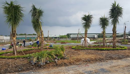 Đất Trung Tâm Thị Trấn Bến Lức, Gần Co.op Matk, Ngay Chợ Thuận Đạo.