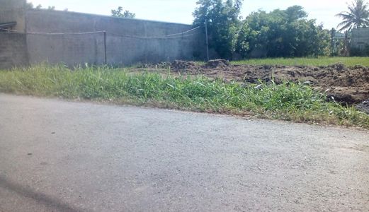 Chính Chủ, Nhượng Gấp 1000M2 Đất Vườn Phong Phú,Bình Chánh, Sổ Riêng, 2 Tỷ.