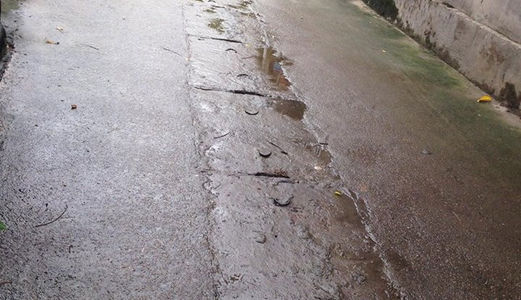 Bán Đất Khu Đường Học Viện Nông Nghiệp. Trâu Quỳ