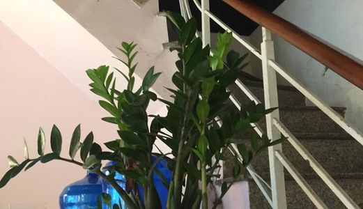 Nhà Hiếm, Mặt Phố Xã Đàn, 26M2, 5 Tầng, Ô Tô Đỗ Cửa, Kinh Doanh Tuyệt Đỉnh, Giá 14 Tỷ