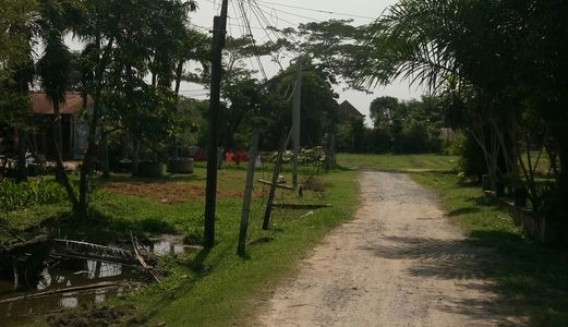 Bán Gấp Đất Thổ Cư Thị Trấn Đức Hoà. Dt 137M2. Giá 300Tr