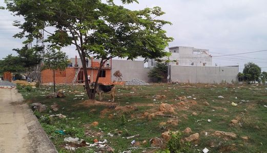 Ngân Hàng Thanh Lý Gấp Tài Sản Đất Tại Kđt Mới Bình Dương Giá Chỉ Từ 335 Tr/nền, Thổ Cư 100% Shr